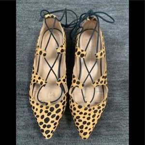 Loeffler Randall Leopard Ambra Lace-Up Flats SZ 7